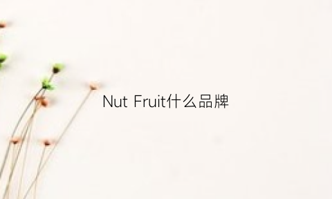 NutFruit什么品牌(nutfit怎么样)